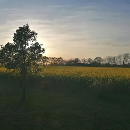 Litti アパート ヴォルプスヴェーデ