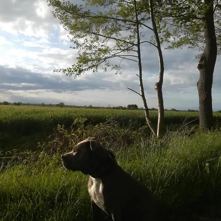 アパート Litti ヴォルプスヴェーデ